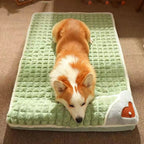Soft Sofa - Canapé pour animaux avec coussin intégré