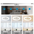 Ventilateur de Plafond Moderne à LED