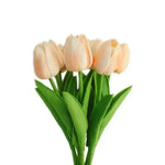 Rose clair,Rose
