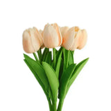 Rose clair,Rose
