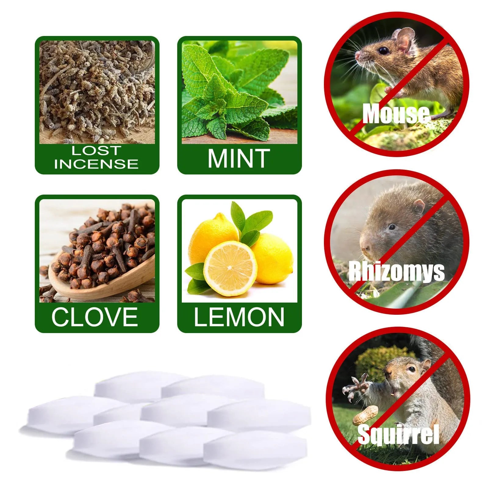 Pack de 20 répulsif souris et rats ULTRA efficace