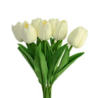 Blanc cassé,Blanc